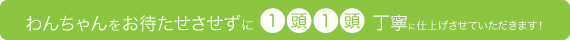 わんちゃんをお待たせさせずに1頭1頭丁寧に仕上げさせていただきます! わんちゃんをお待たせさせずに1頭1頭丁寧に仕上げさせていただきます!